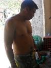 morcego1236